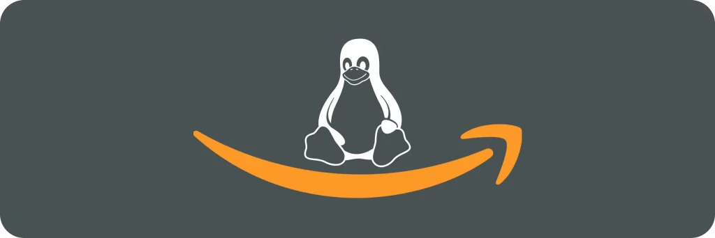 Cost Optimization for Amazon Linux 2